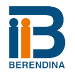 Berendina Micro Investment Company Limited