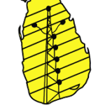 Lanka Electricity Company (LECO)